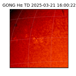 gong - 2025-03-21T16:00:22