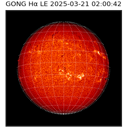 gong - 2025-03-21T02:00:42