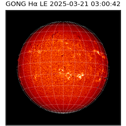 gong - 2025-03-21T03:00:42