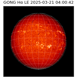 gong - 2025-03-21T04:00:42
