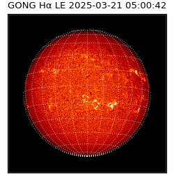 gong - 2025-03-21T05:00:42