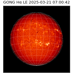gong - 2025-03-21T07:00:42