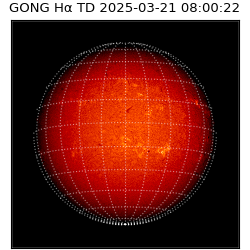 gong - 2025-03-21T08:00:22