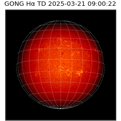 gong - 2025-03-21T09:00:22