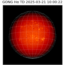 gong - 2025-03-21T10:00:22