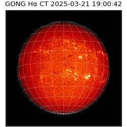 gong - 2025-03-21T19:00:42