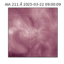 saia - 2025-03-22T09:00:09.629000