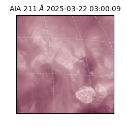 saia - 2025-03-22T03:00:09.633000