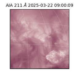 saia - 2025-03-22T09:00:09.629000