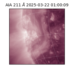 saia - 2025-03-22T01:00:09.640000