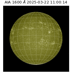 saia - 2025-03-22T11:00:14.119000