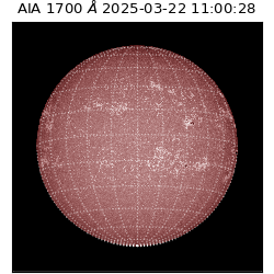 saia - 2025-03-22T11:00:28.717000