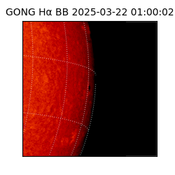 gong - 2025-03-22T01:00:02
