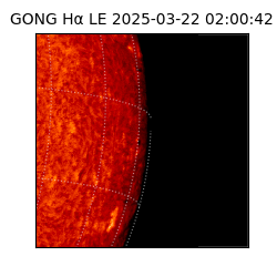 gong - 2025-03-22T02:00:42