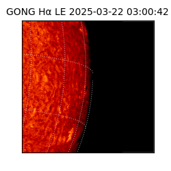 gong - 2025-03-22T03:00:42