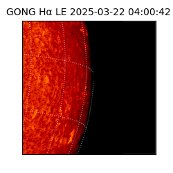gong - 2025-03-22T04:00:42
