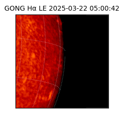 gong - 2025-03-22T05:00:42