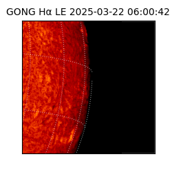 gong - 2025-03-22T06:00:42