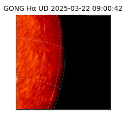 gong - 2025-03-22T09:00:42