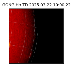 gong - 2025-03-22T10:00:22