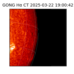 gong - 2025-03-22T19:00:42