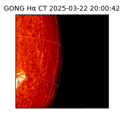 gong - 2025-03-22T20:00:42