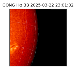 gong - 2025-03-22T23:01:02