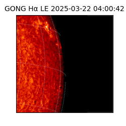 gong - 2025-03-22T04:00:42
