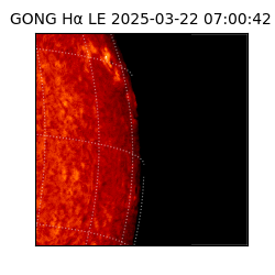 gong - 2025-03-22T07:00:42
