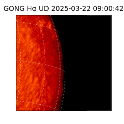 gong - 2025-03-22T09:00:42