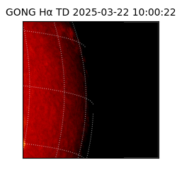 gong - 2025-03-22T10:00:22