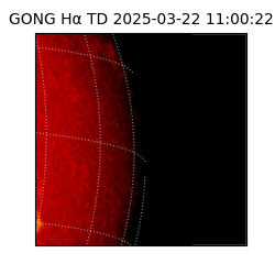 gong - 2025-03-22T11:00:22