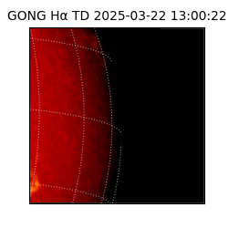 gong - 2025-03-22T13:00:22