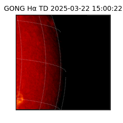 gong - 2025-03-22T15:00:22