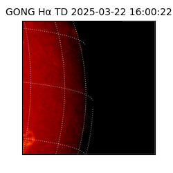 gong - 2025-03-22T16:00:22