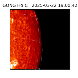 gong - 2025-03-22T19:00:42