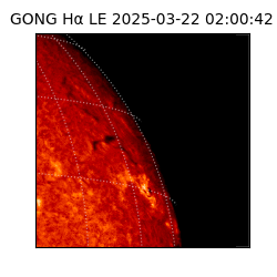 gong - 2025-03-22T02:00:42