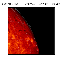 gong - 2025-03-22T05:00:42