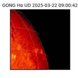 gong - 2025-03-22T09:00:42