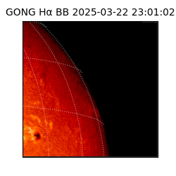 gong - 2025-03-22T23:01:02