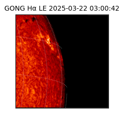 gong - 2025-03-22T03:00:42