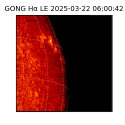 gong - 2025-03-22T06:00:42