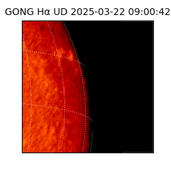 gong - 2025-03-22T09:00:42