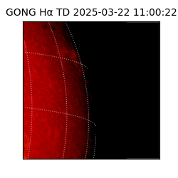 gong - 2025-03-22T11:00:22