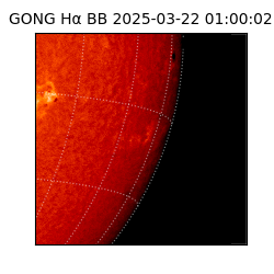 gong - 2025-03-22T01:00:02