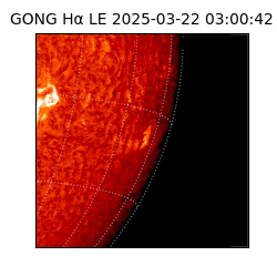 gong - 2025-03-22T03:00:42
