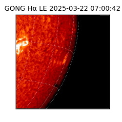 gong - 2025-03-22T07:00:42