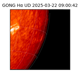gong - 2025-03-22T09:00:42