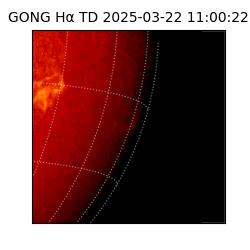 gong - 2025-03-22T11:00:22