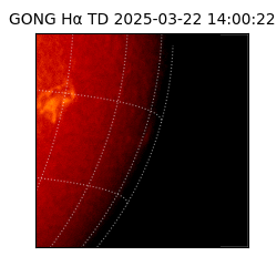 gong - 2025-03-22T14:00:22